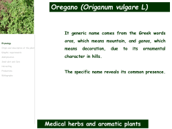 Diapositivo 1 - Organic.Edunet Confolio
