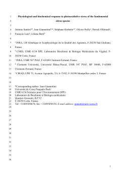 Physiological and biochemical response to photooxidative stress of