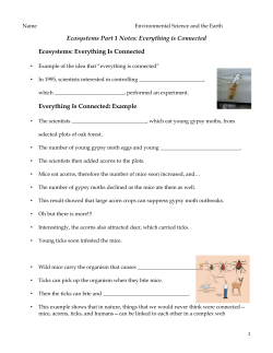 Everything is Connected Ecosystems
