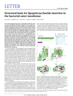 Structural basis for lipopolysaccharide insertion in the bacterial outer