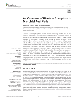 An Overview of Electron Acceptors in Microbial Fuel