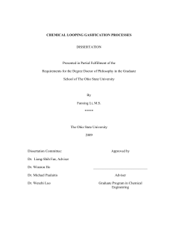 chemical looping gasification processes