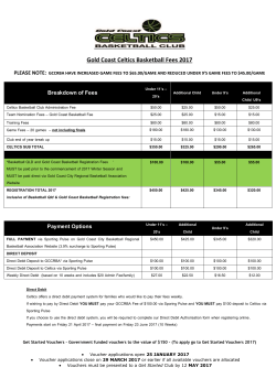 Celtics Fees Breakdown 2017