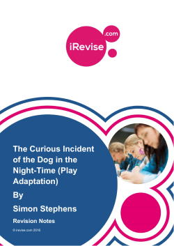 The Curious Incident of the Dog in the Night