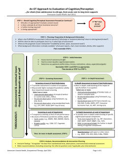 Occupation-Based Evaluation of Cognition/Perception