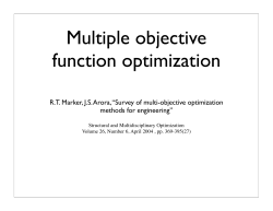 Multiple objective function optimization
