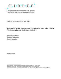 agricultural trade liberalization, productivity gain and