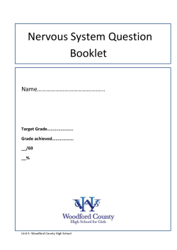 Nervous System - WordPress.com