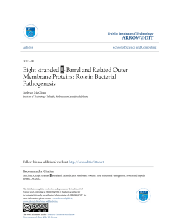 Barrel and Related Outer Membrane Proteins