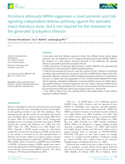 Nicotiana attenuata MPK4 suppresses a novel jasmonic acid (JA
