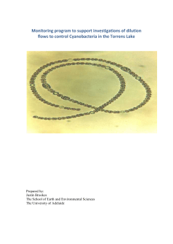 Monitoring program to support investigations of dilution flows to