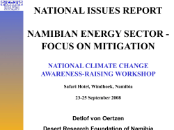 National Issues report - Energy Sector