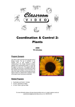 Plant Hormones Video answers