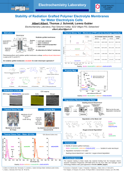 Stability of Radiation Grafted Polymer Electrolyte