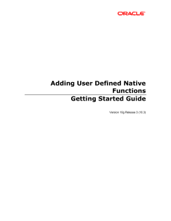 Adding User Defined Native Functions Getting Started Guide