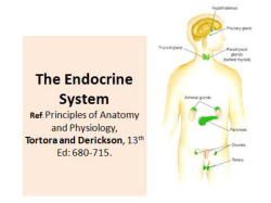 Dr Khatatbeh Endo PP Pharmacy 1