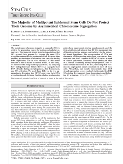 The Majority of Multipotent Epidermal Stem Cells Do Not Protect