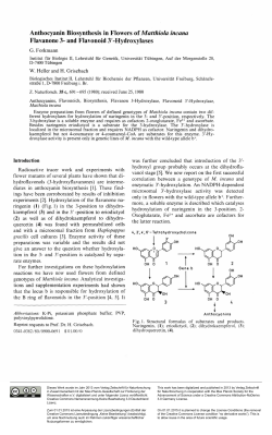 Anthocyanin Biosynthesis in Flowers of Matthiola incana Flavanone