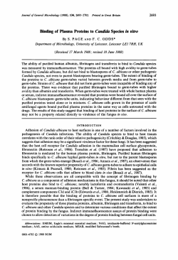 Binding of Plasma Proteins to Candida Species in vitm