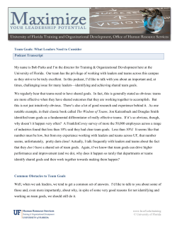 Team Goals - University of Florida