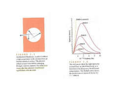 Supplementary Material