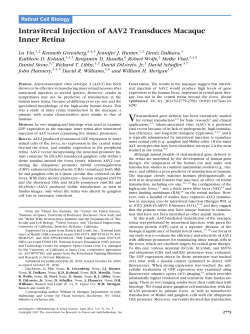 Intravitreal Injection of AAV2 Transduces Macaque Inner Retina