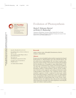 Evolution of Photosynthesis