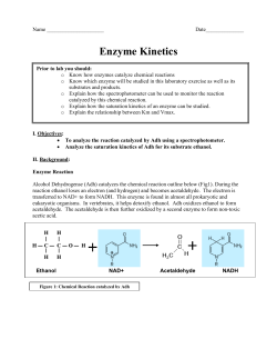 Enzyme Kinetics