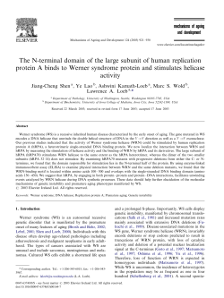 The N-terminal domain of the large subunit of human replication