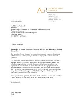 Electricity networks and the regulatory process