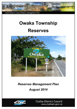 Owaka Reserve Management Plan