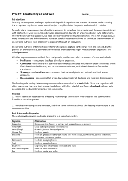 File - The Mad Hatcher