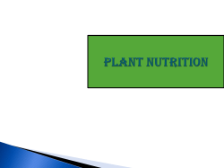 Plant Nutrition