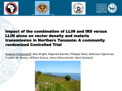 Powerpoint Template: Blue Header