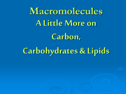 Carbohydrates and Lipids