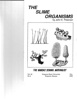 the slime organisms - Emporia State University