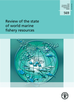 Review of the state of world marine fishery resources