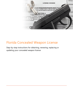Florida Concealed Weapon License