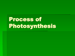 Photosynthesis is broken down into two reactions. Light Dependent