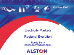 Electricity Market
