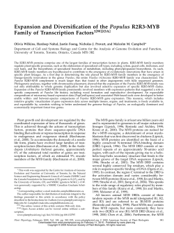 Expansion and Diversification of the Populus R2R3