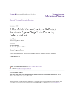A Plant-Made Vaccine Candidate To Protect Ruminants Against