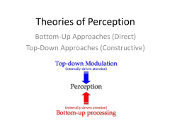 Theories of Perception