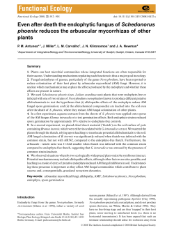 Even after death the endophytic fungus of