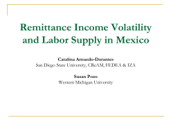 International Remittances and Their Employment Implications in