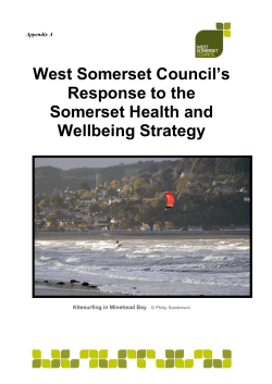 WSC Response to the Somerset Health and Wellbeing Strategy