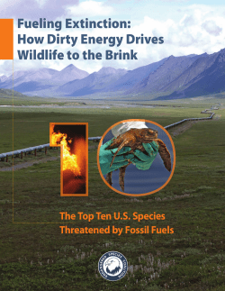 Fueling Extinction: How Dirty Energy Drives Wildlife to the Brink