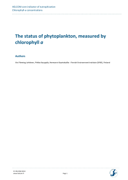 The status of phytoplankton, measured by chlorophyll a