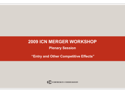 2009 ICN MERGER WORKSHOP