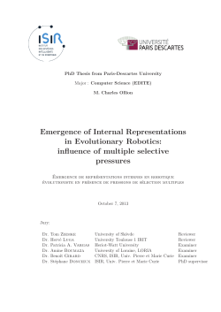 Emergence of Internal Representations in Evolutionary Robotics